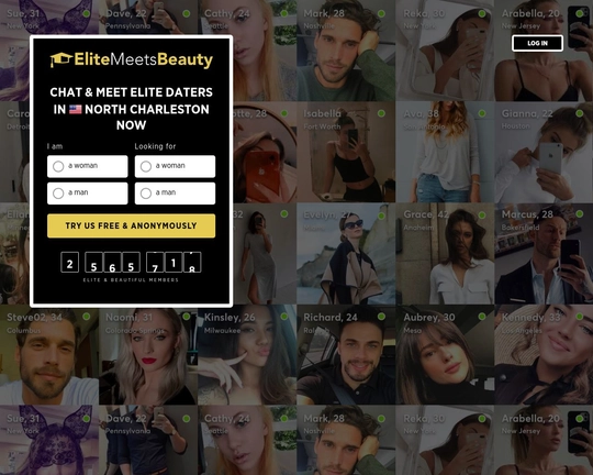 Elitemeetsbeauty.com Logo